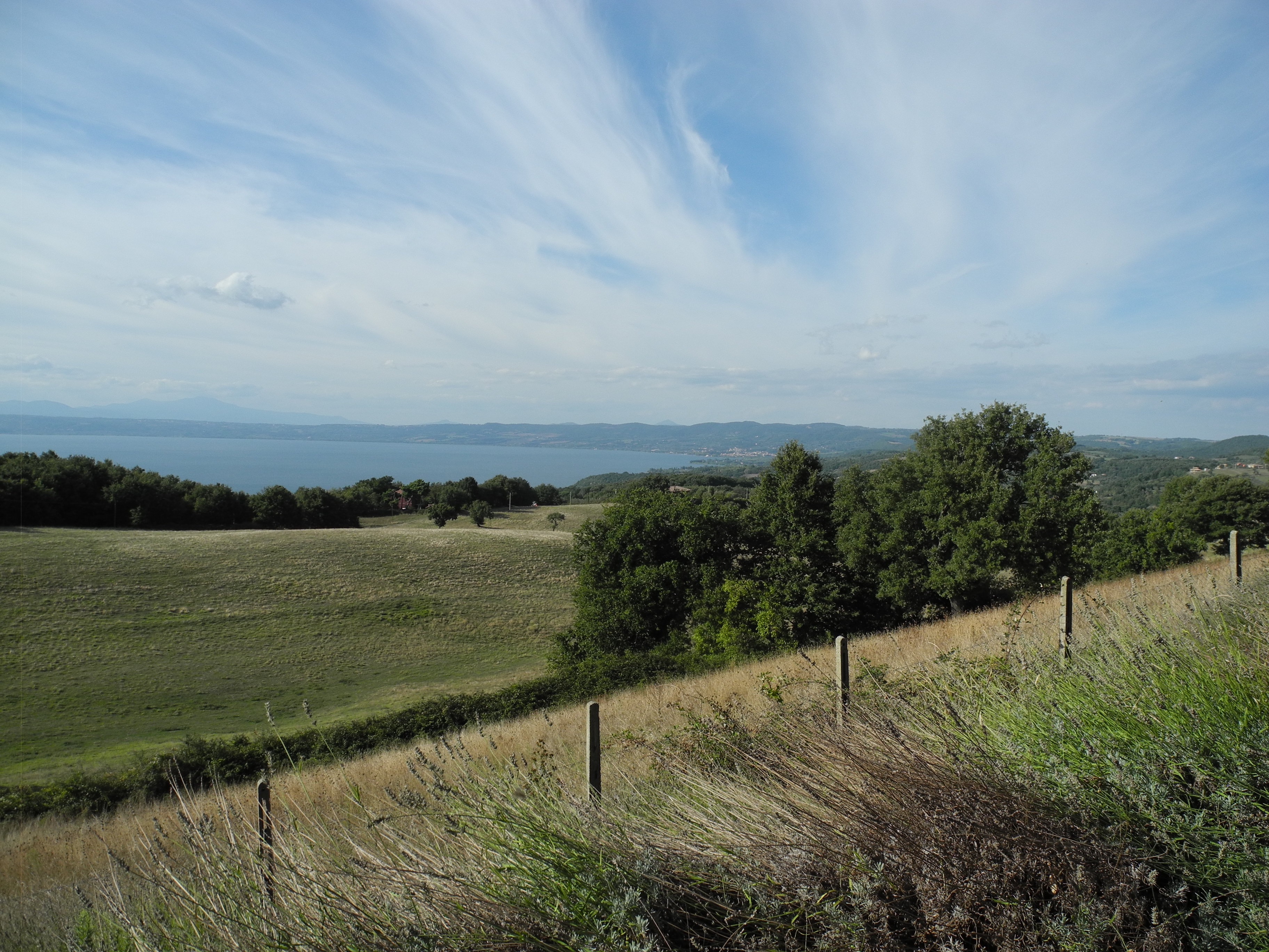 DSCN6250.jpg