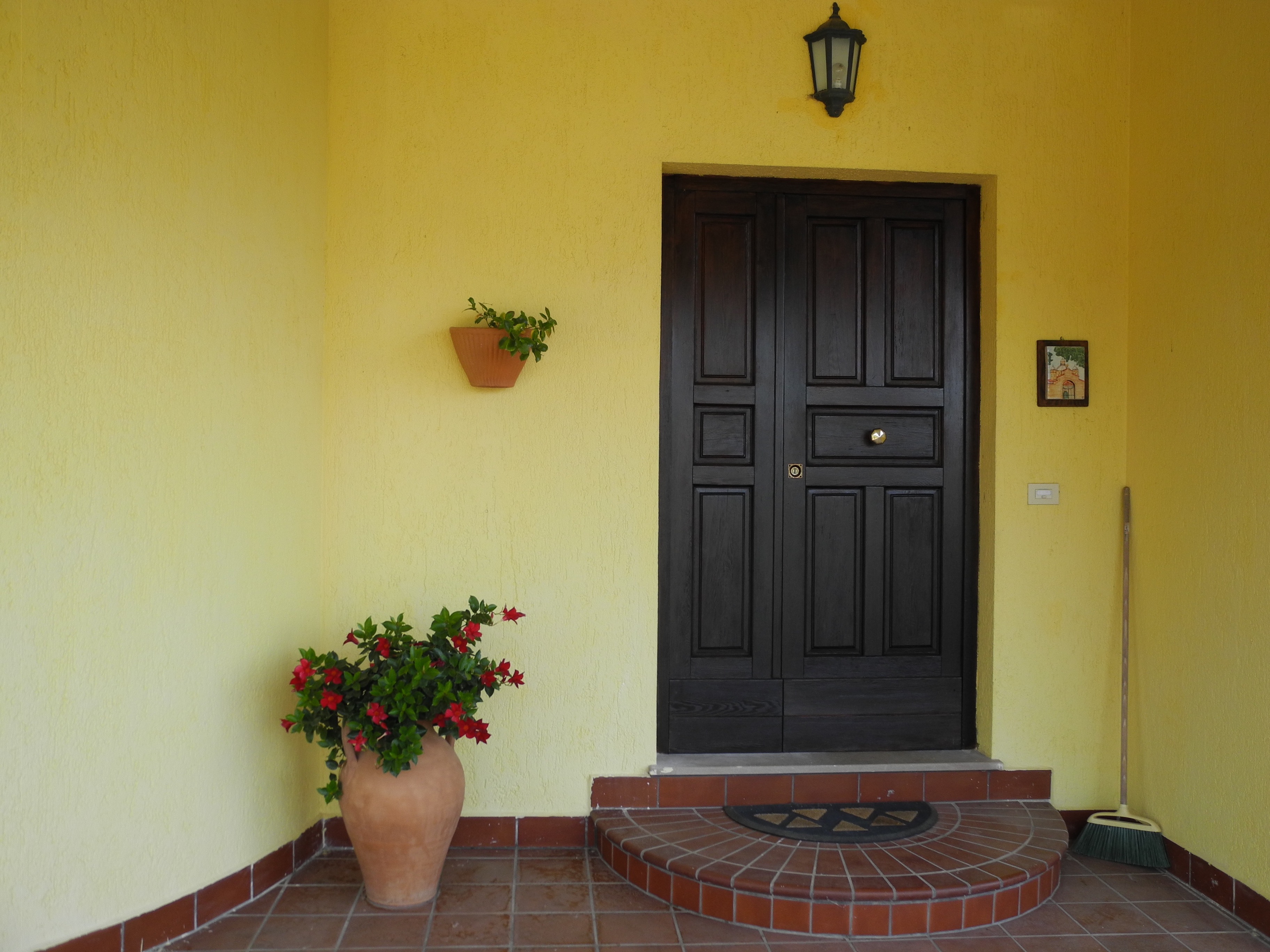 DSCN6318.jpg
