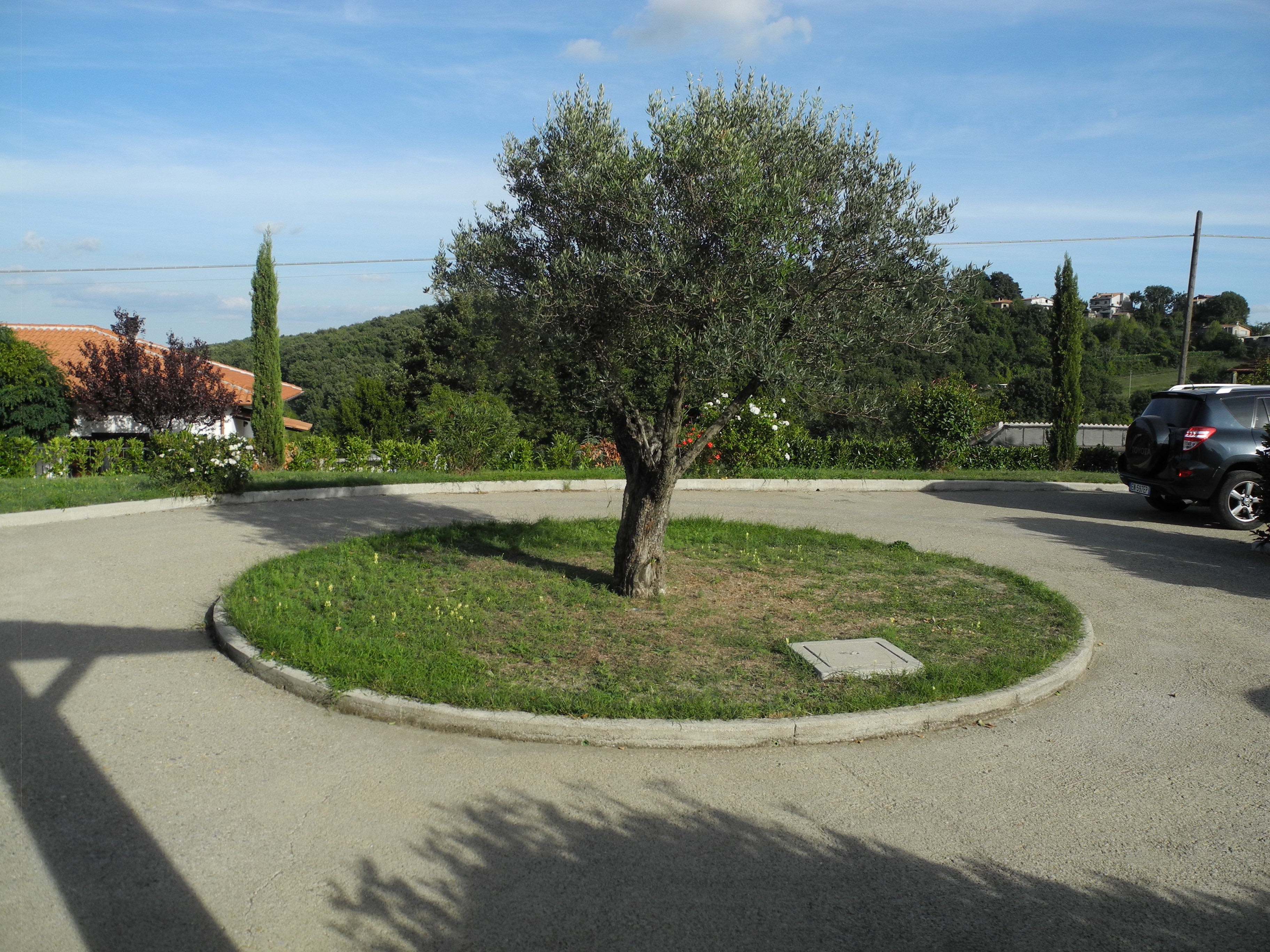 DSCN6312.jpg