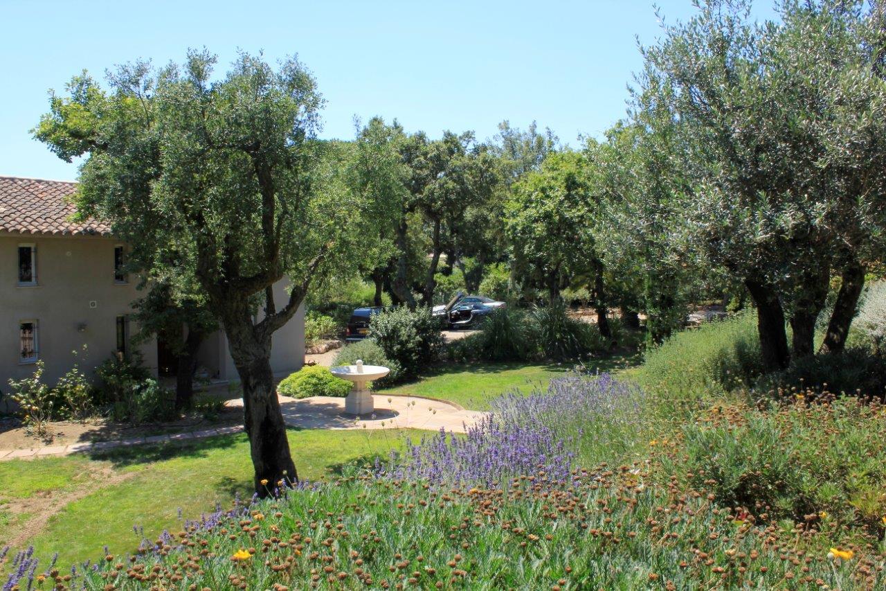 House from pool.jpg