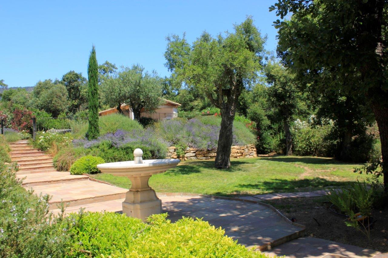 View from house to pool.jpg