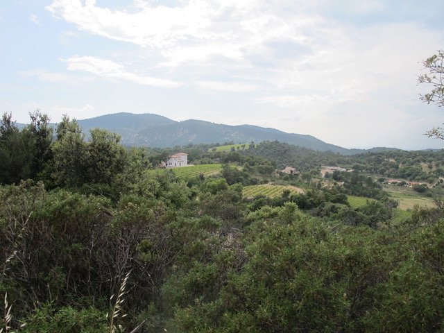 IMG_6578.jpeg