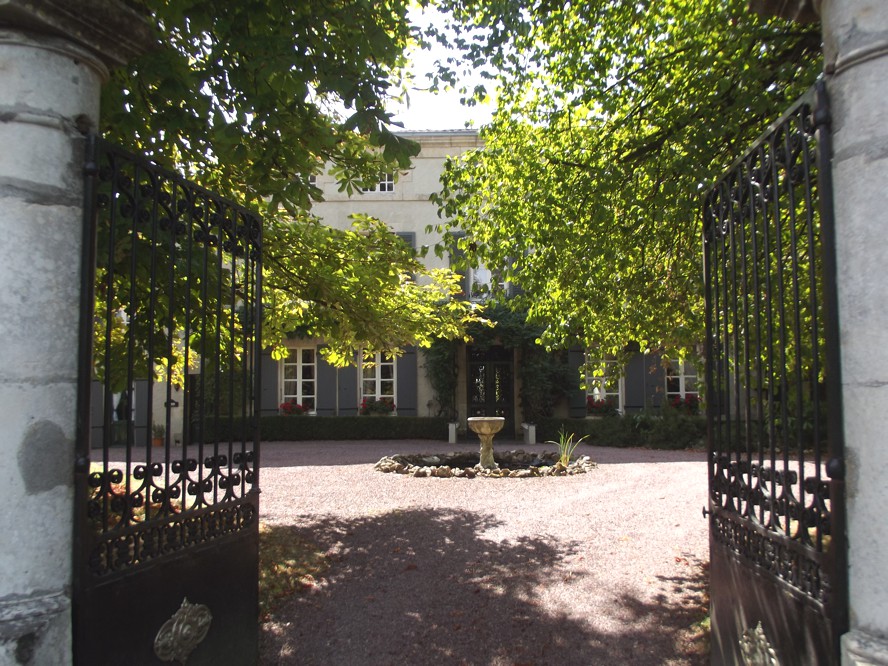VIEW THRU.jpg