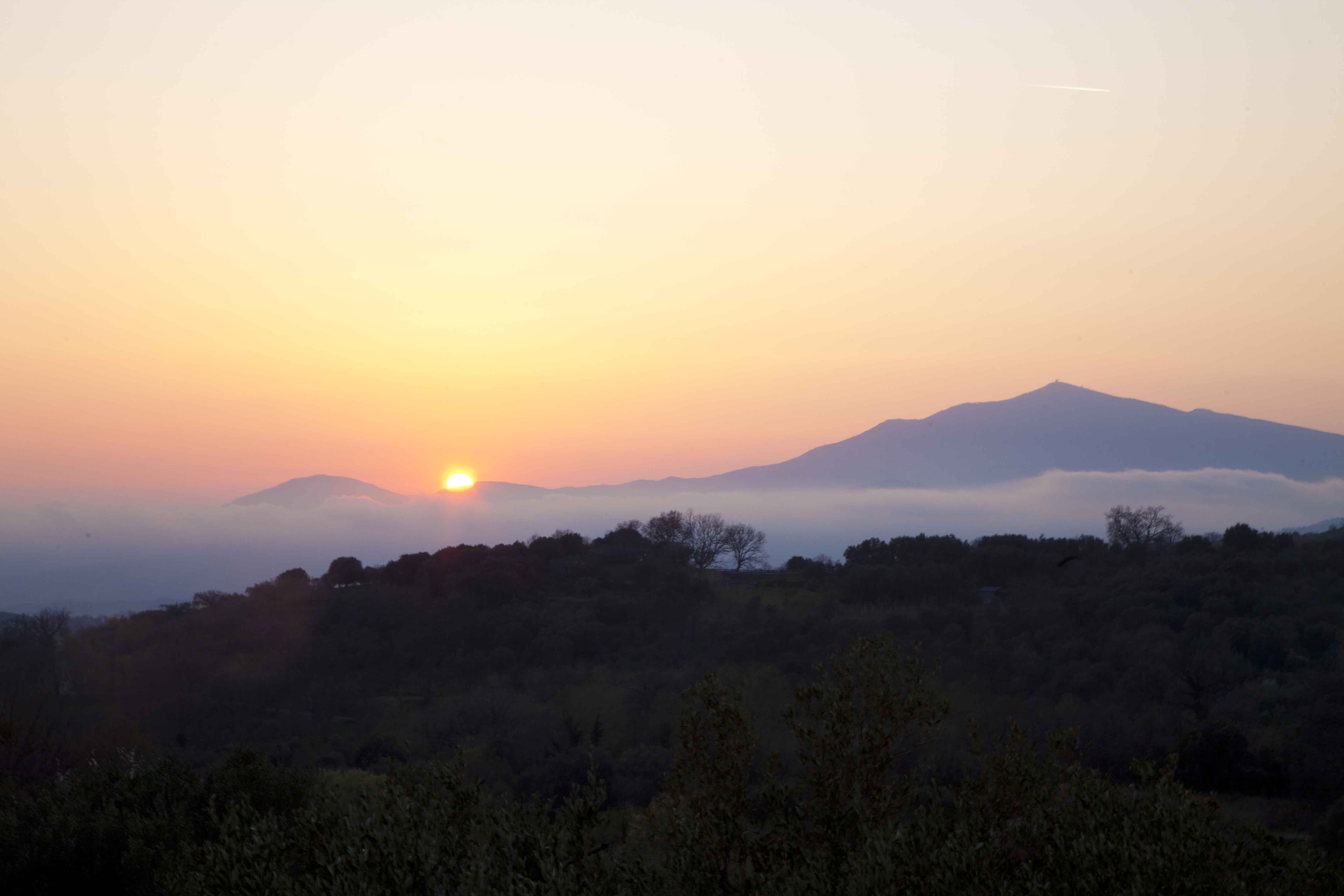 7 Fusco's property _ Cilento national park-1720.jpg