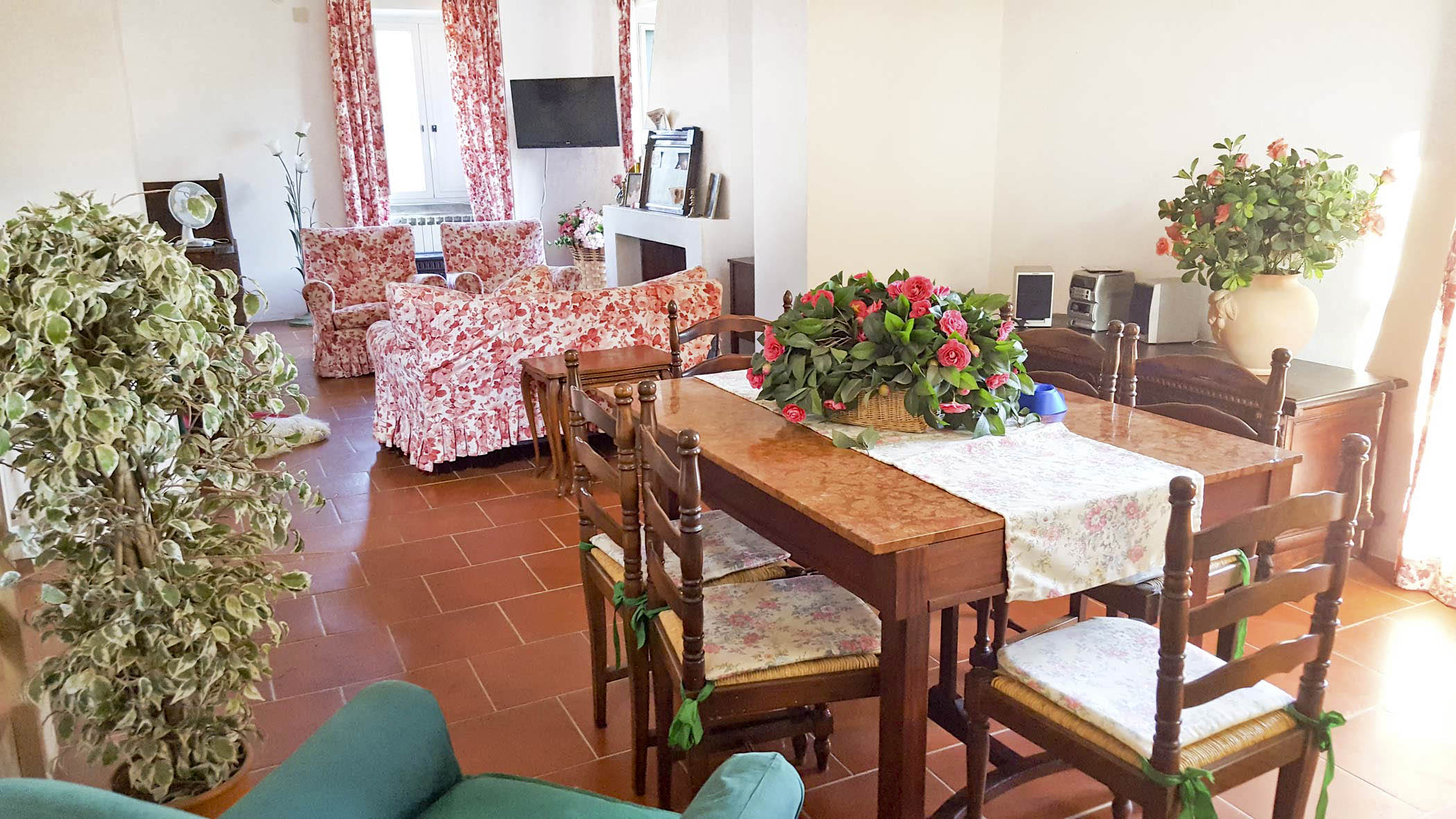 34Fusco's property _ Cilento national park-075249.jpg