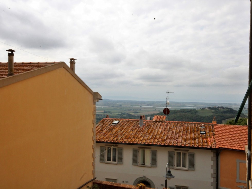VIS.jpg