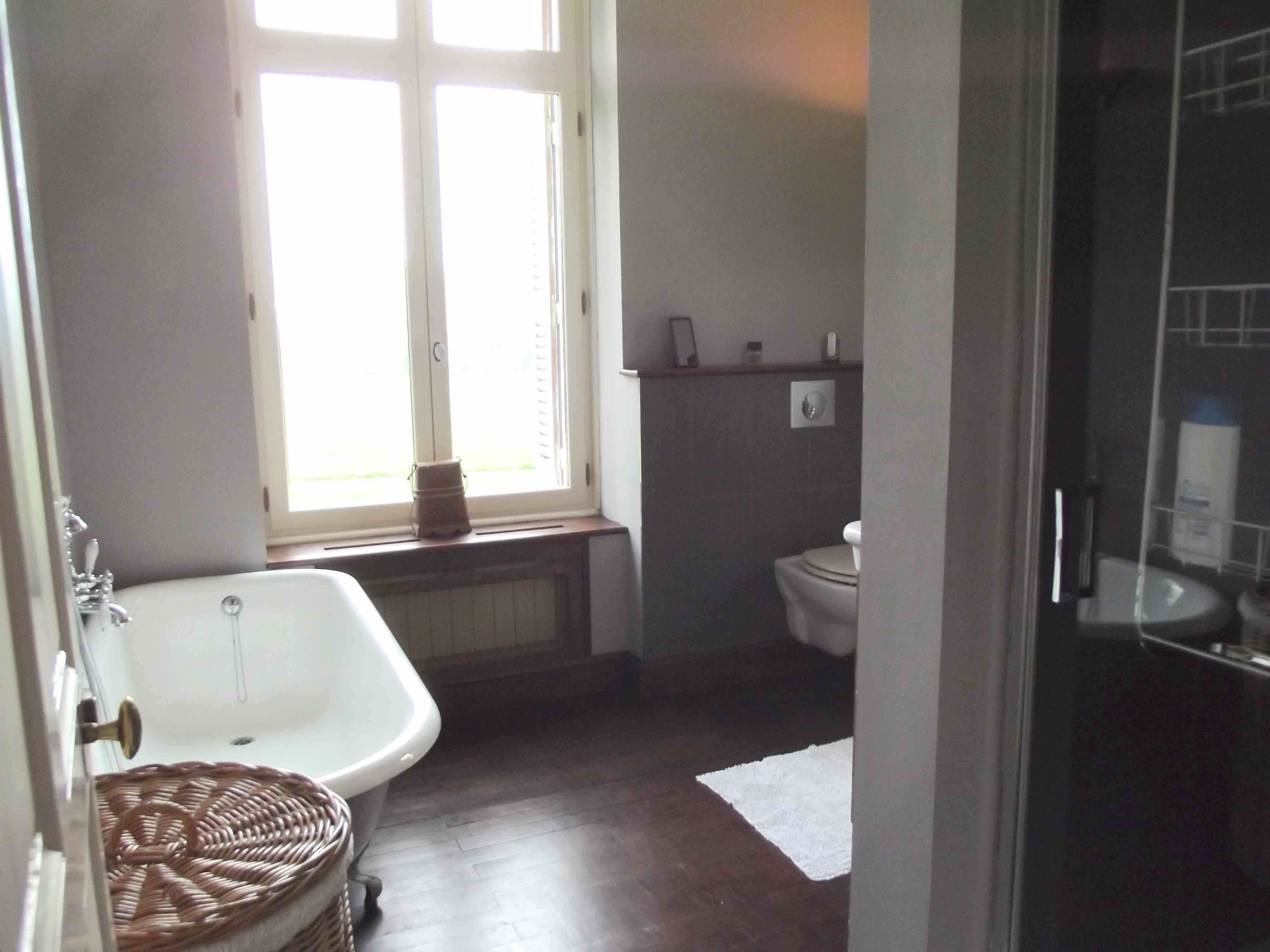 Blue suite bathroom.jpg