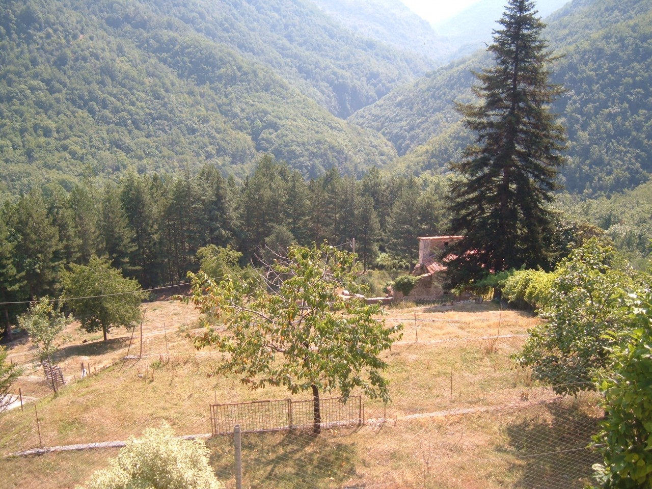 dscf0633.jpeg