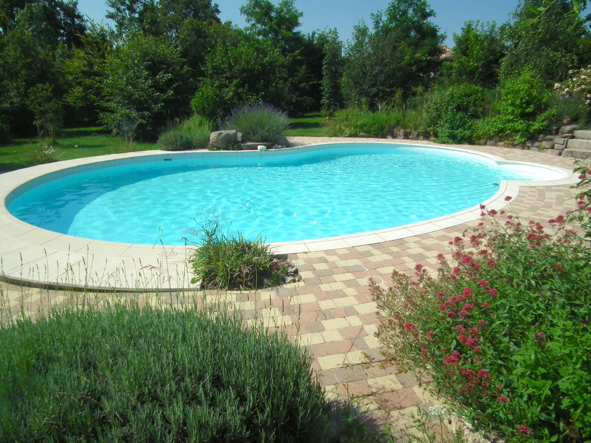 *Piscine 1.jpg