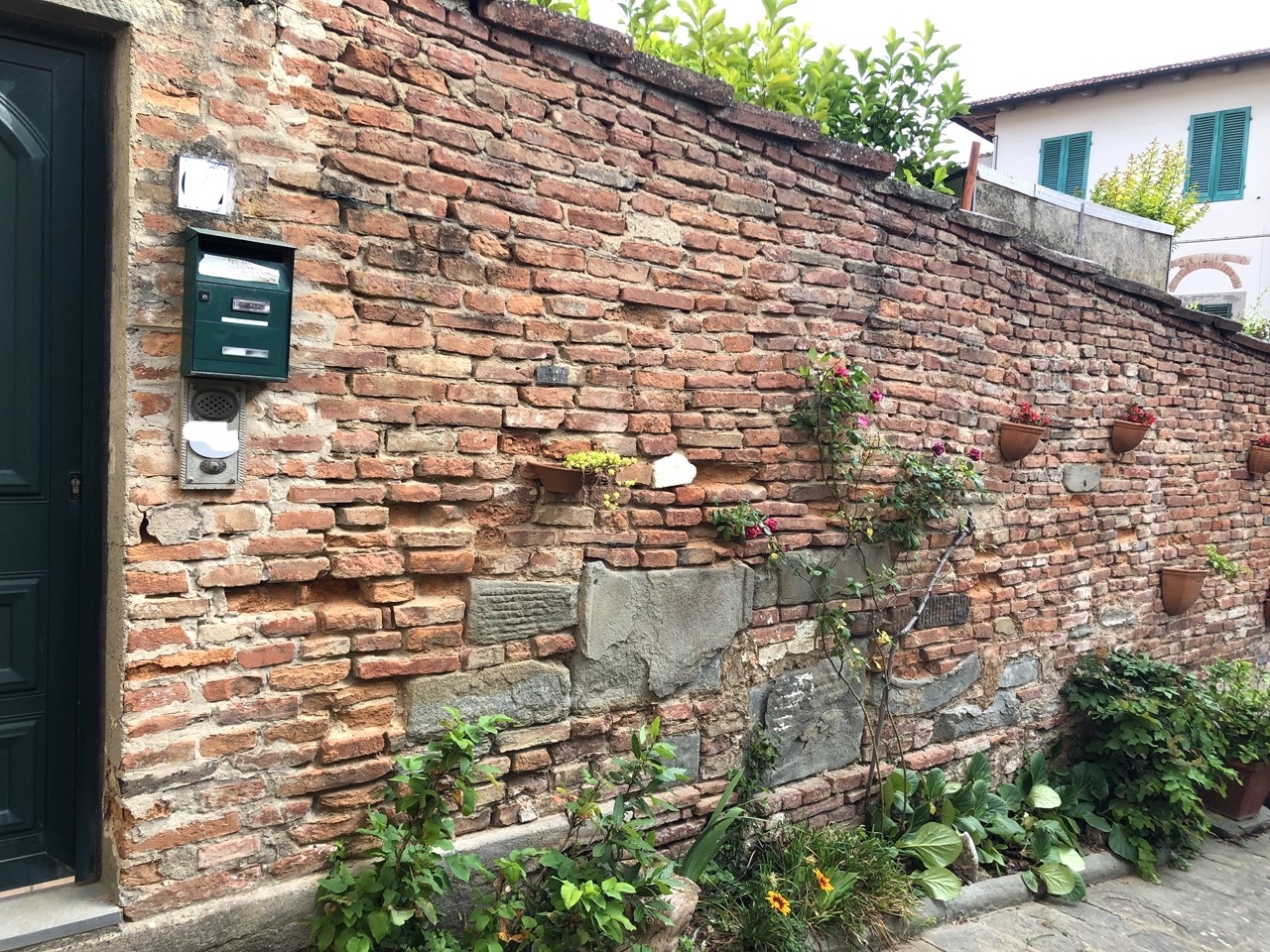 IMG_2022 Stor.jpeg