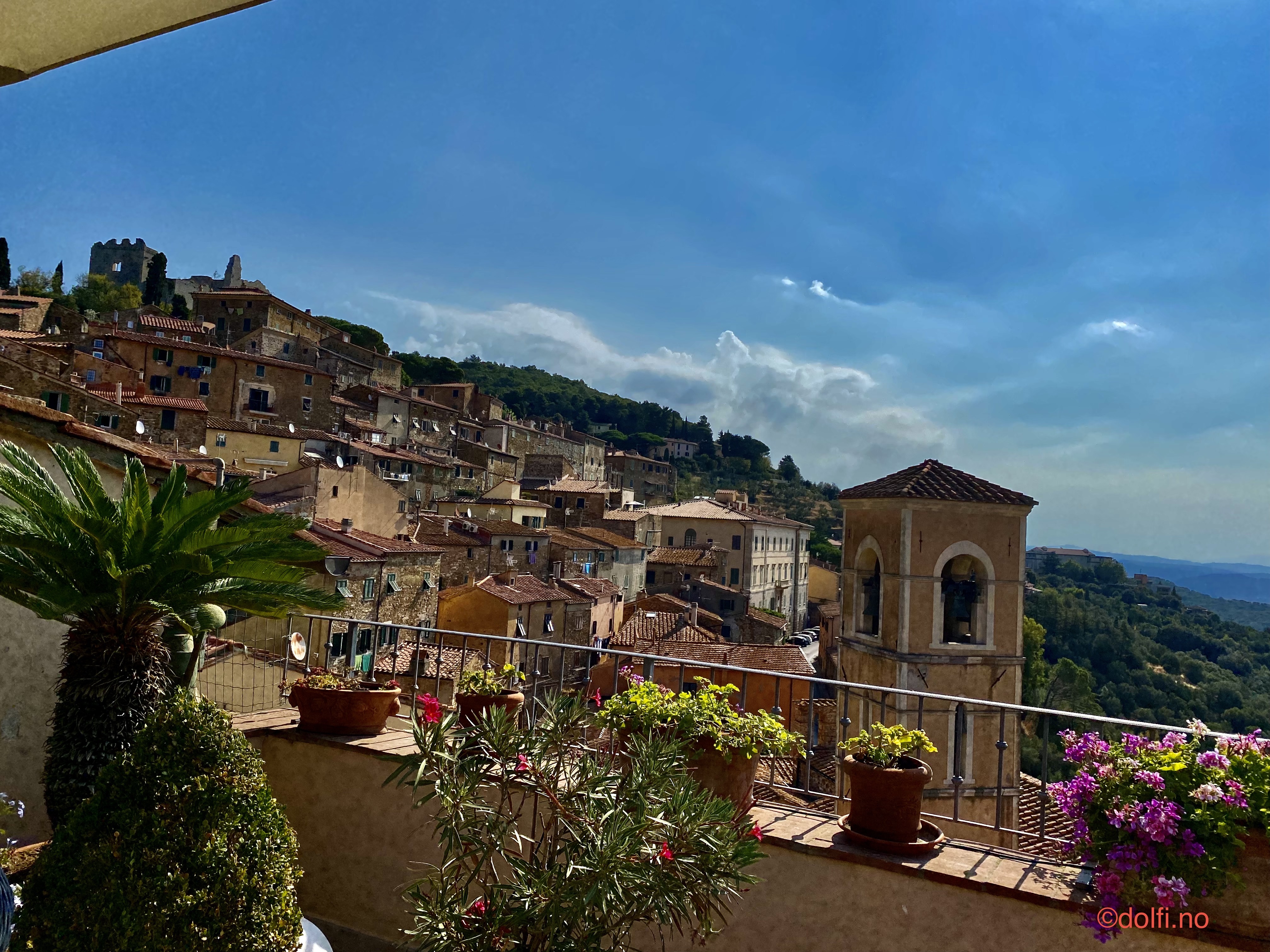 IMG_3484.jpeg