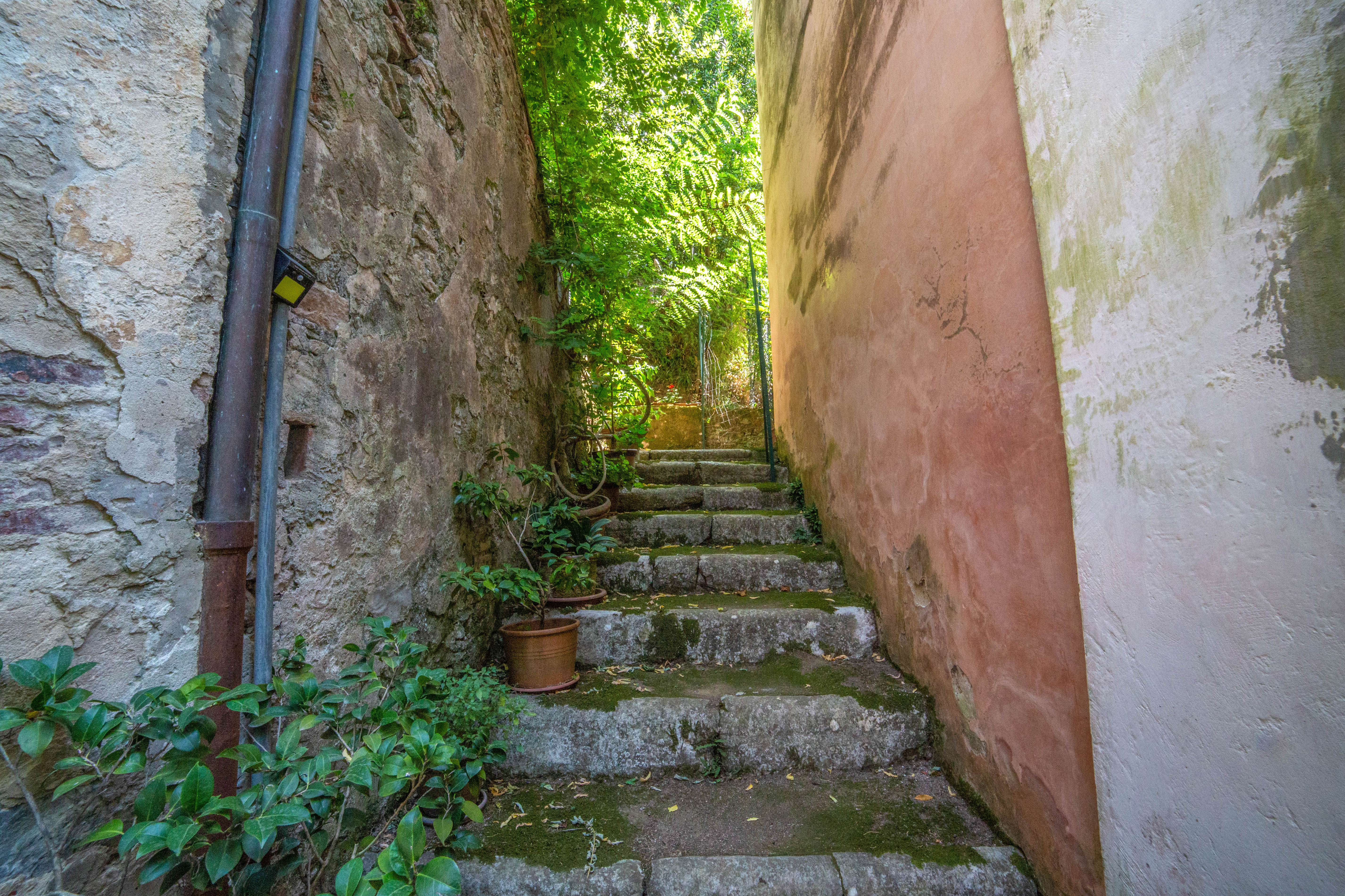 propertyd118eccf91eec6168e1b16ac84f67af94.jpg