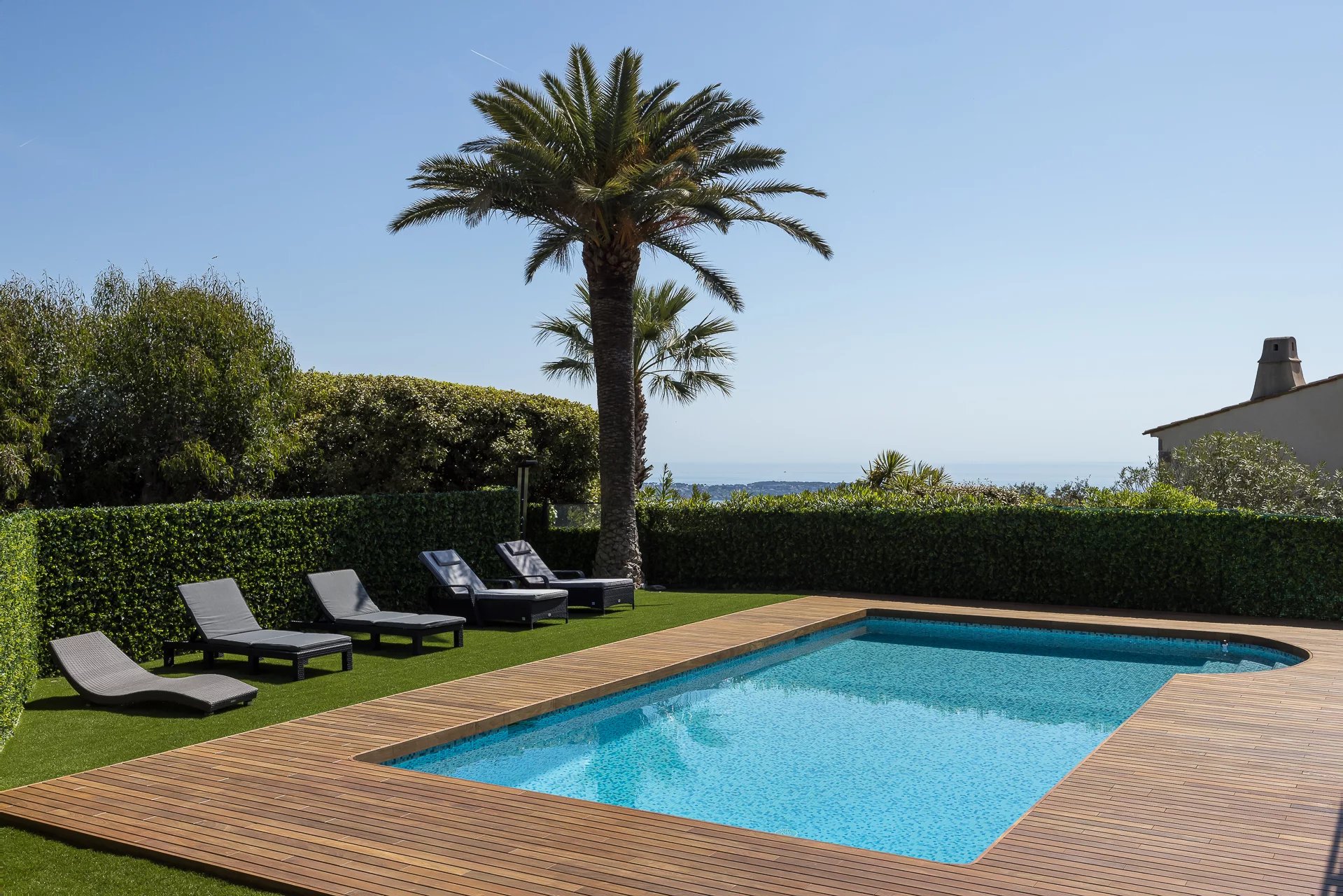 Pool-6884611-Zingraf.jpg