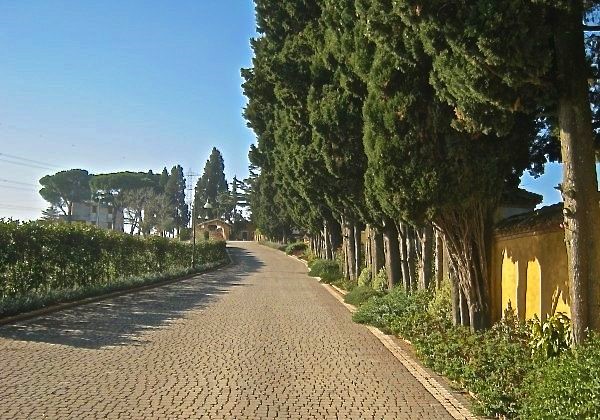BORGO 2016.2.jpg