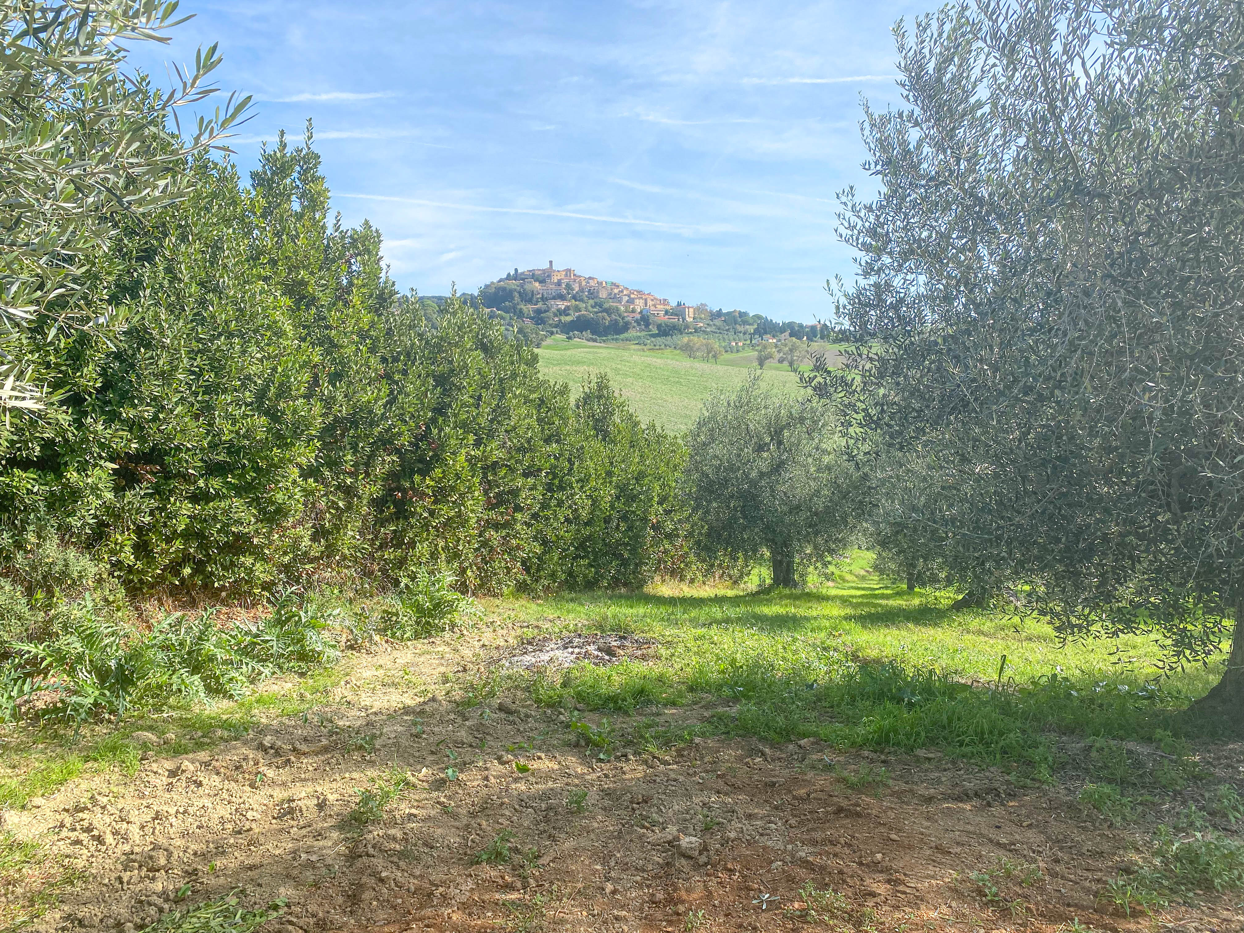 property45c1781e5333fe9c0f88fc530fd1fb5b19.jpg
