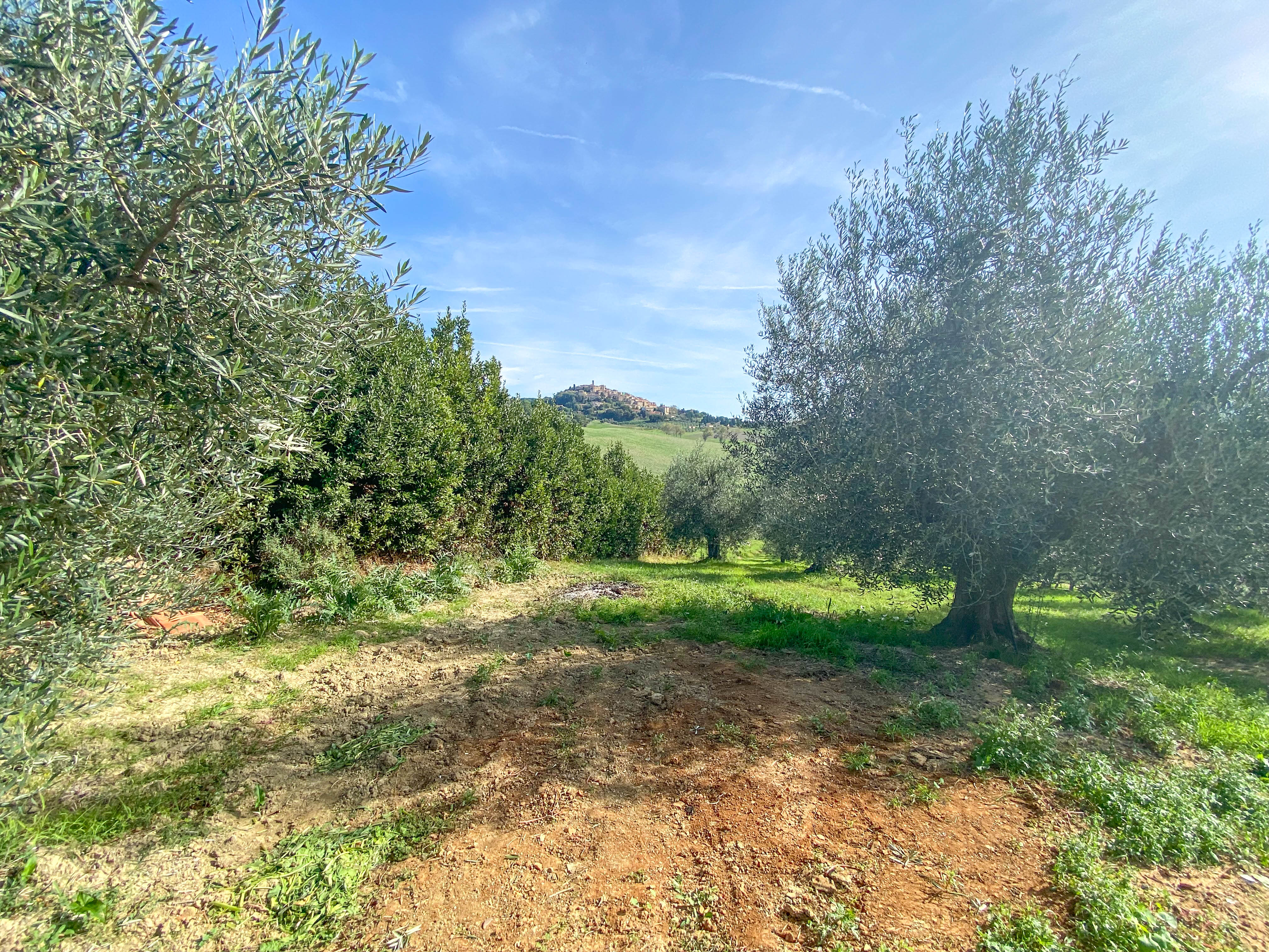 property45c1781e5333fe9c0f88fc530fd1fb5b8.jpg
