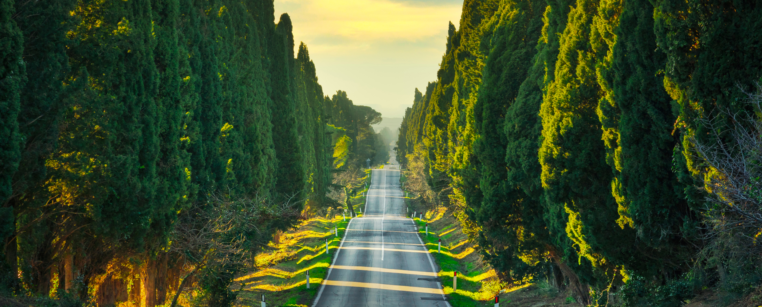 2480X1000_via_dei_cipressi_di_bolgheri_destination.jpg