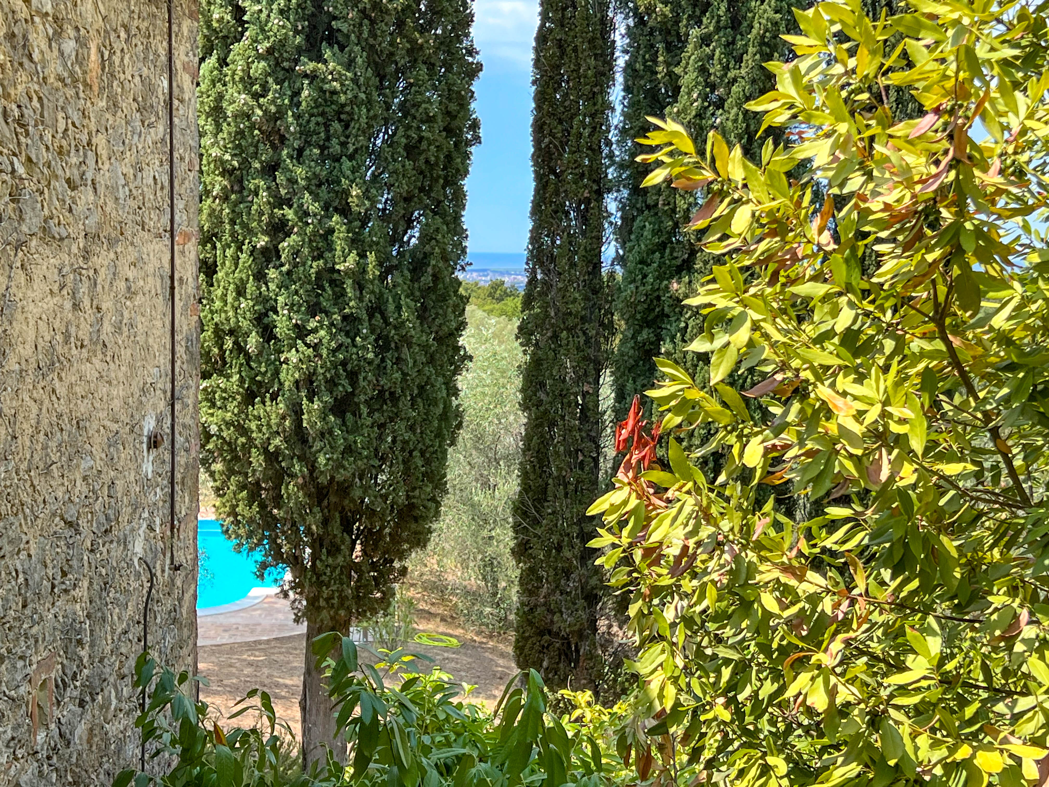 propertyb0e78faa37948bf128e9db2f38b5f1ad3.jpg