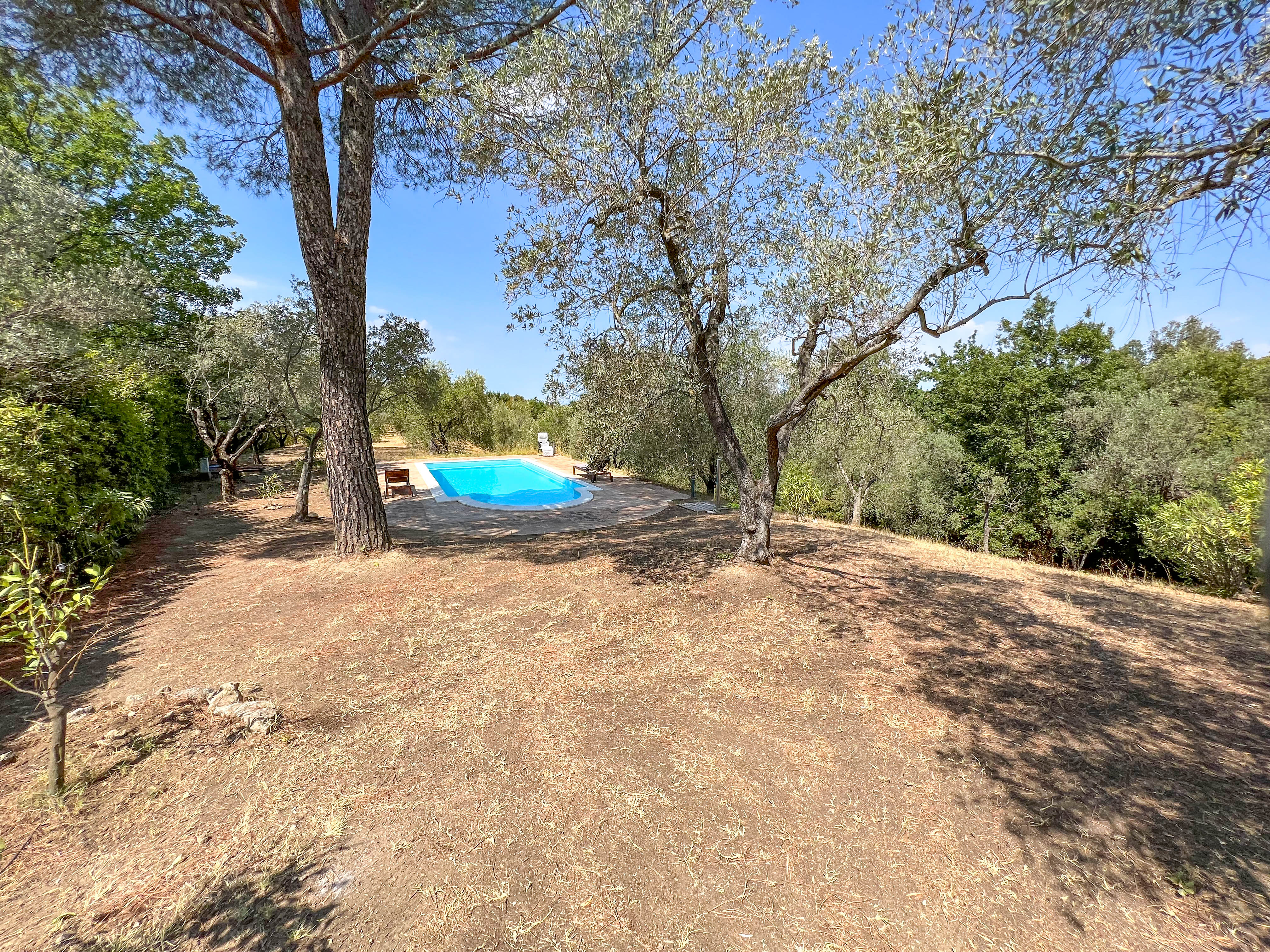 property299caac97a66258c1df6e61146c87f214.jpg