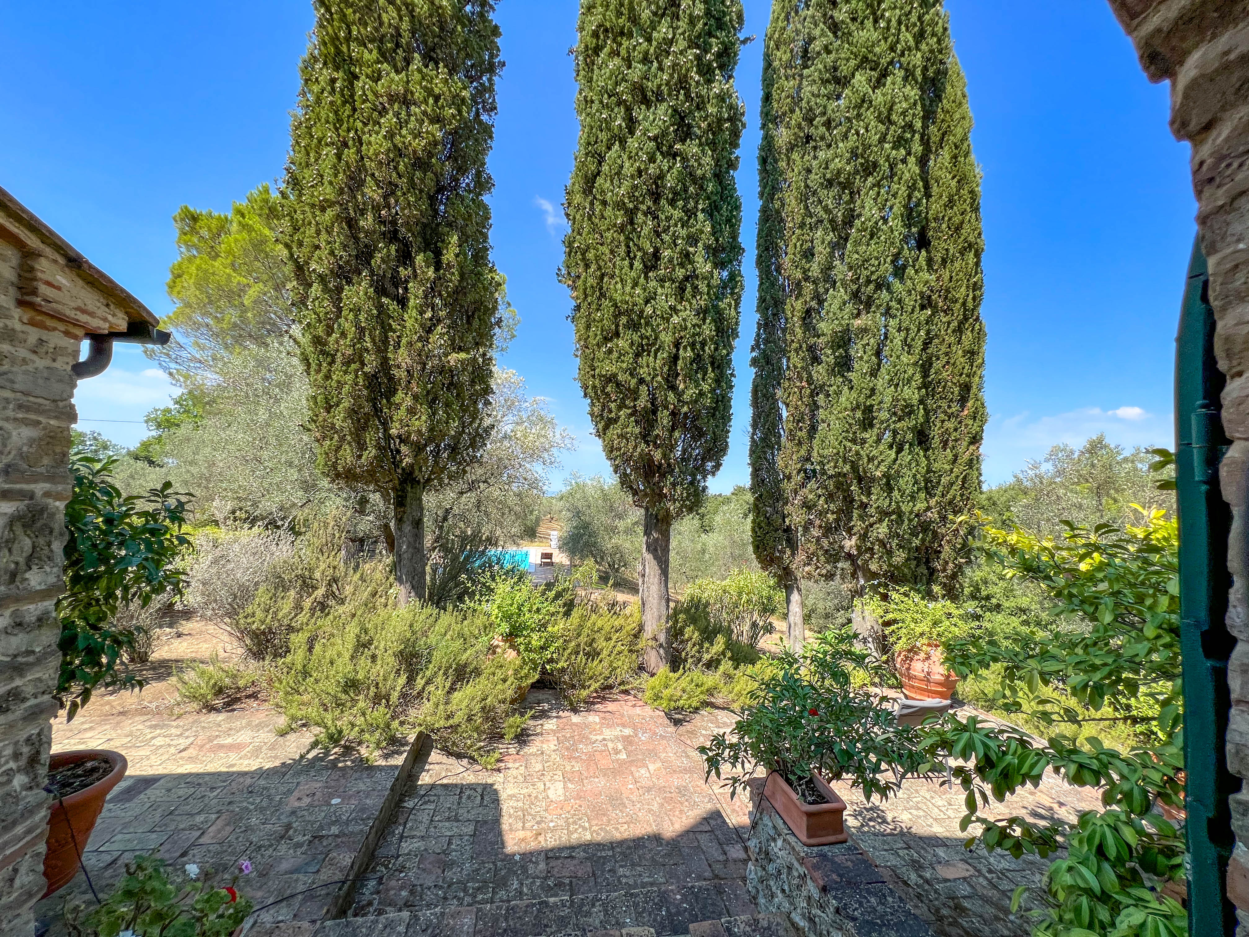 property299caac97a66258c1df6e61146c87f213.jpg