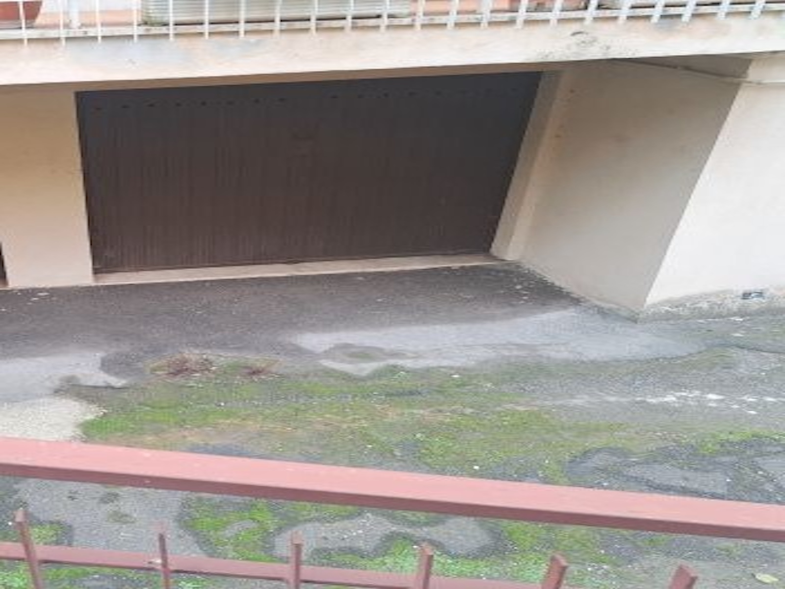 LMB26.jpg