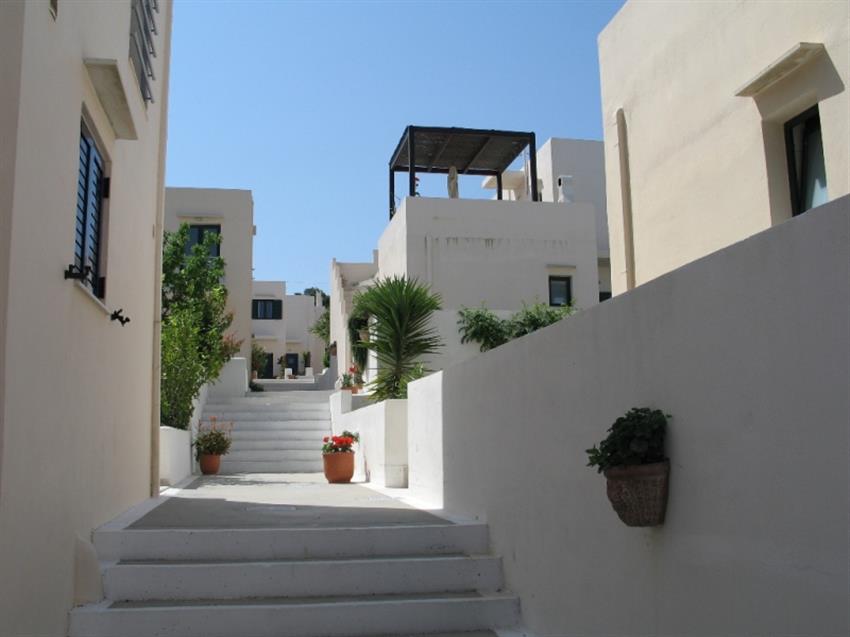 anatoli_6b_07.jpg