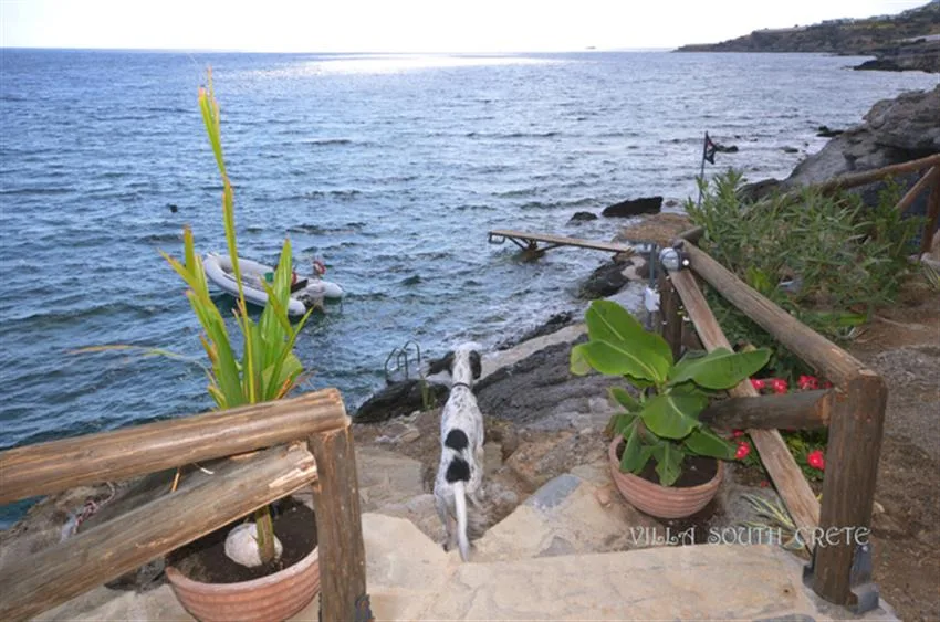 villa south crete_13.jpg