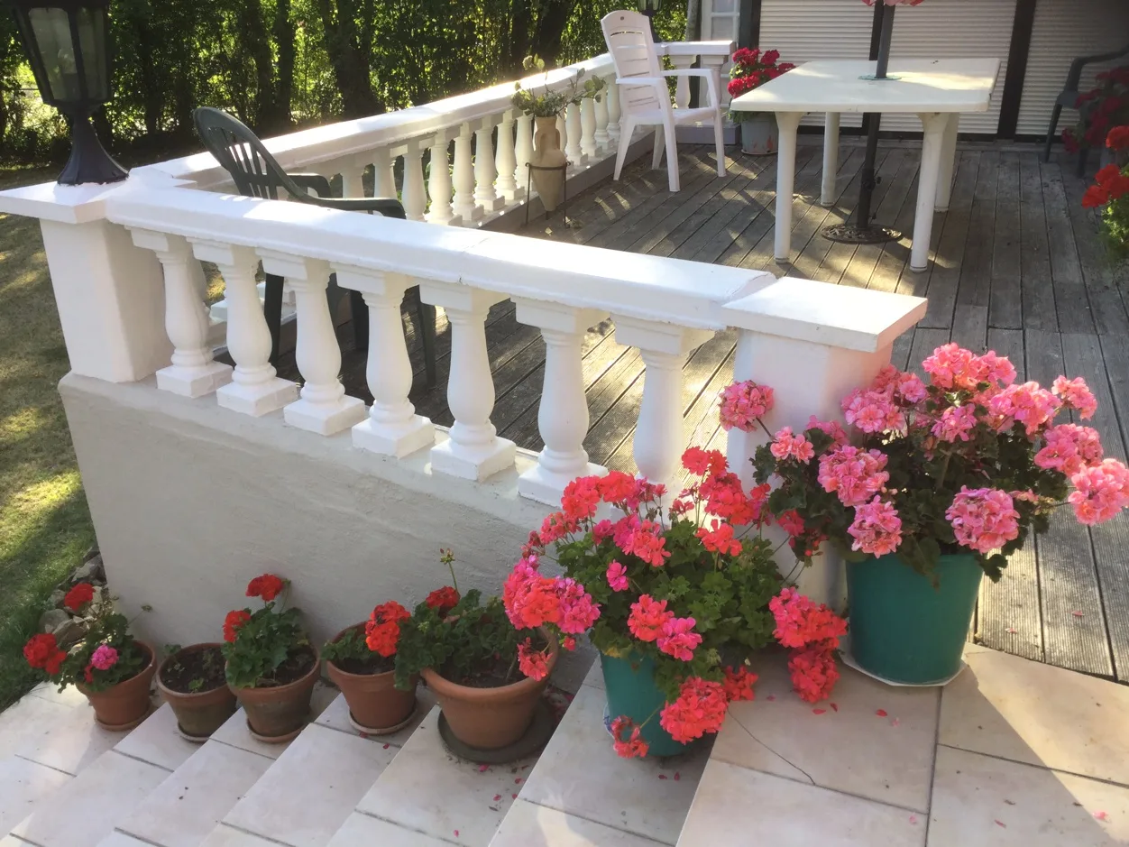 099 Terrace steps.jpg