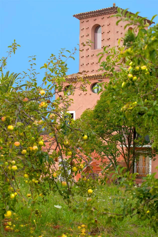 15Fusco's property _ Cilento national park-5585.jpg