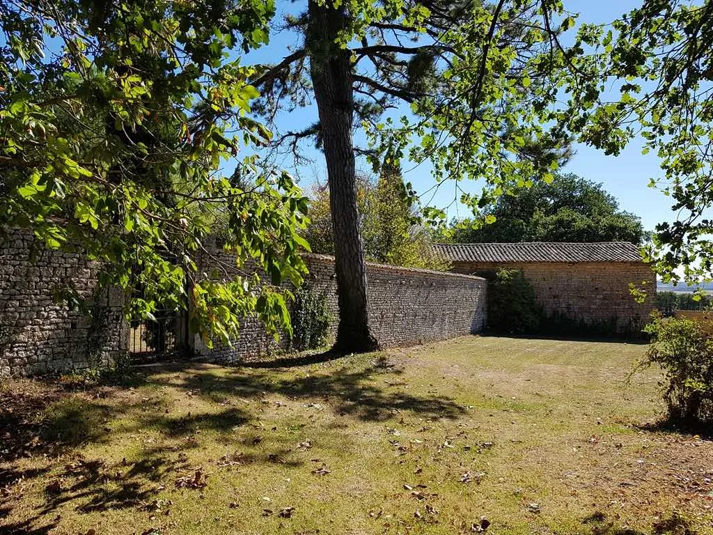 *GARDEN WALL.jpg