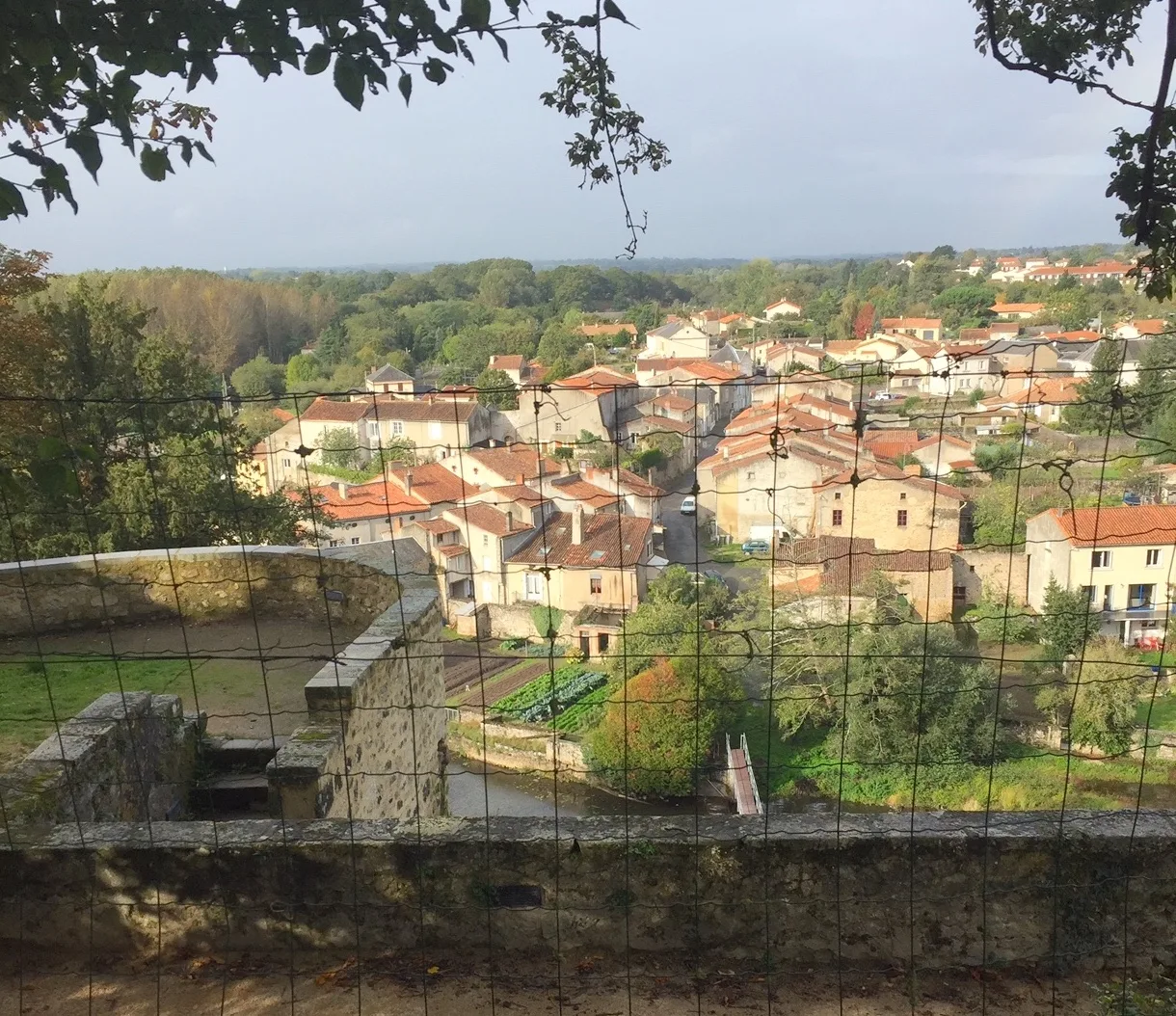 *Garden view 2 copy.jpg