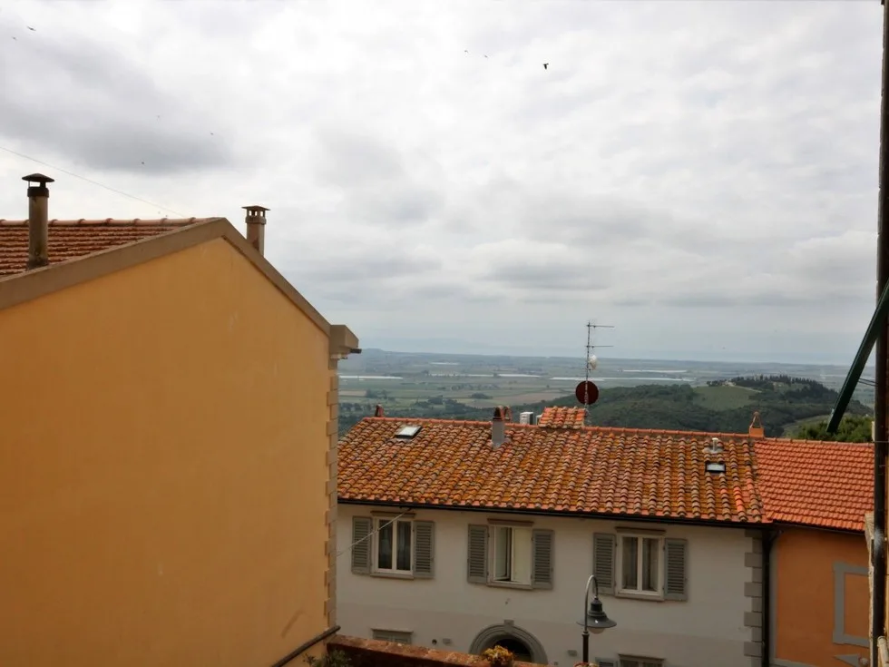 VIS.jpg