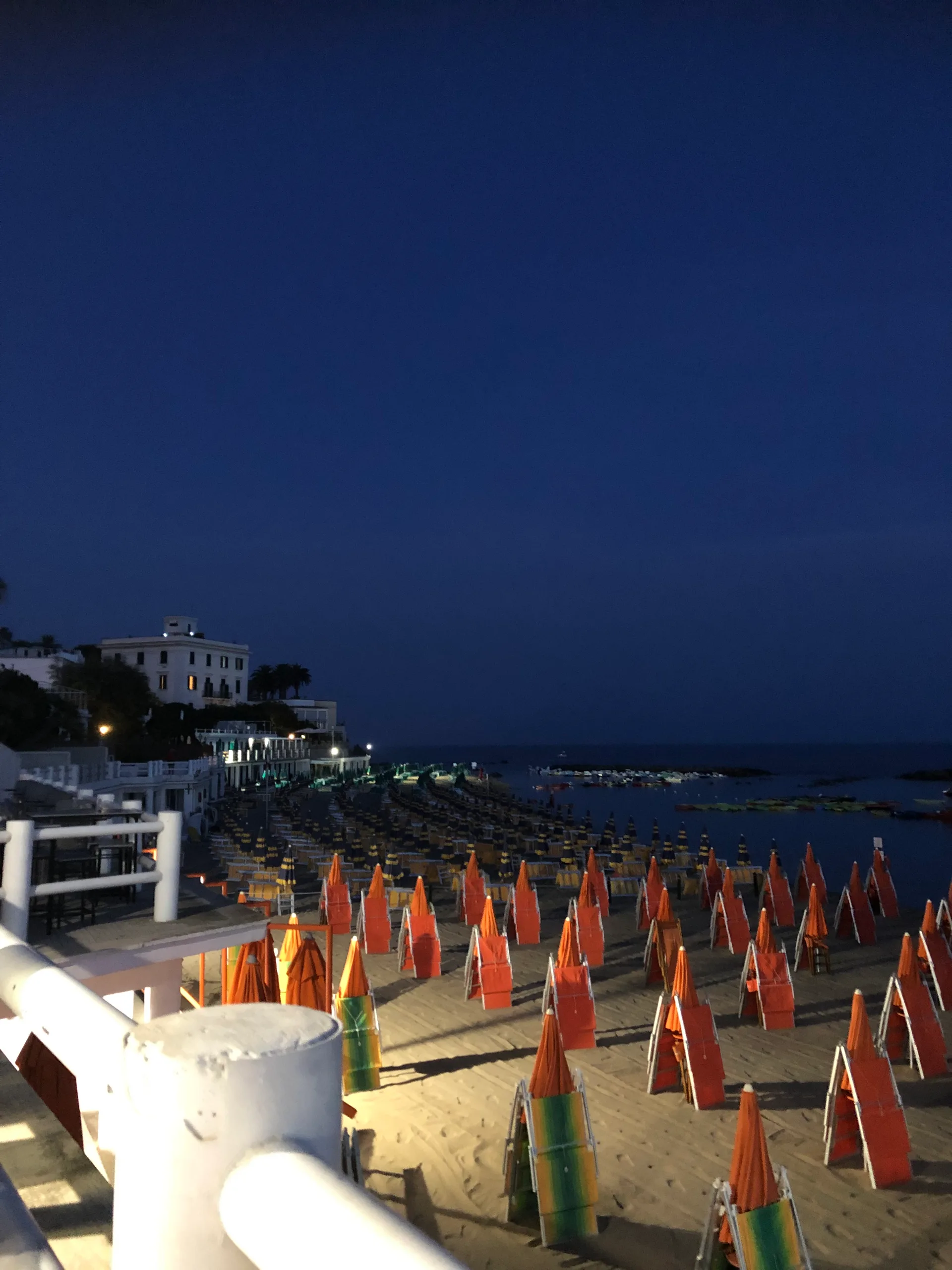 IMG_2964.jpeg