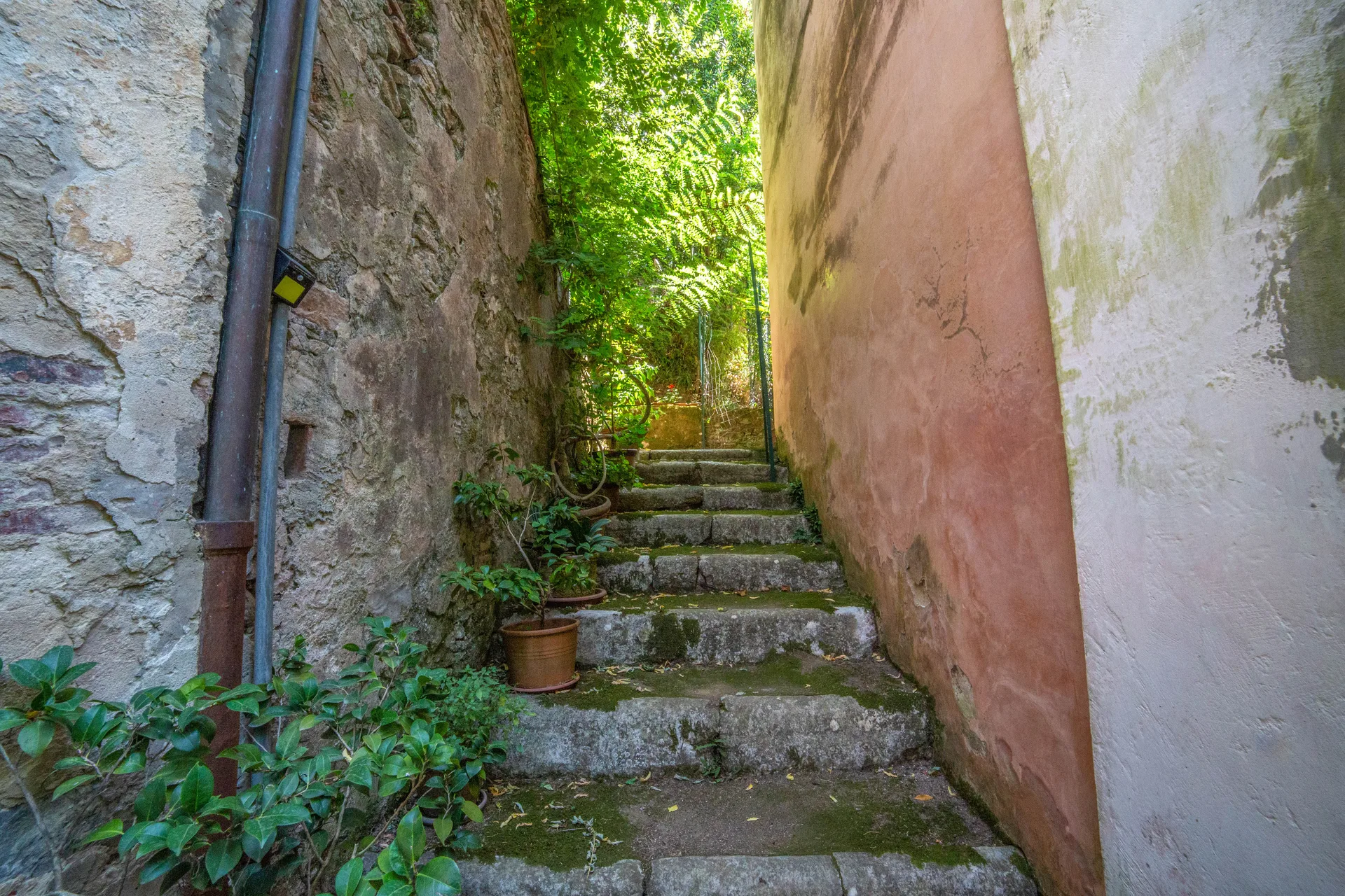 propertyd118eccf91eec6168e1b16ac84f67af94.jpg