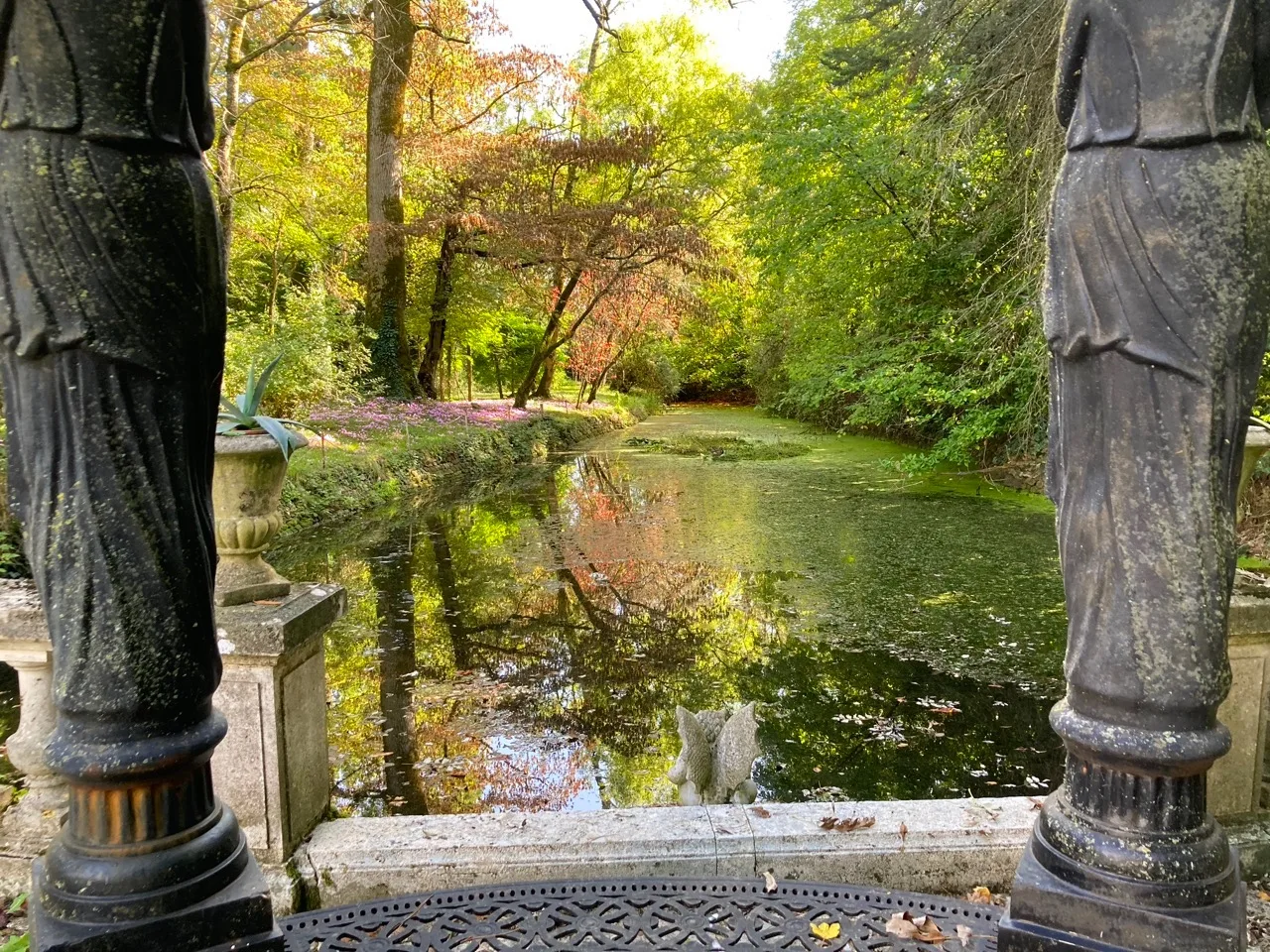 Pergola view.jpg