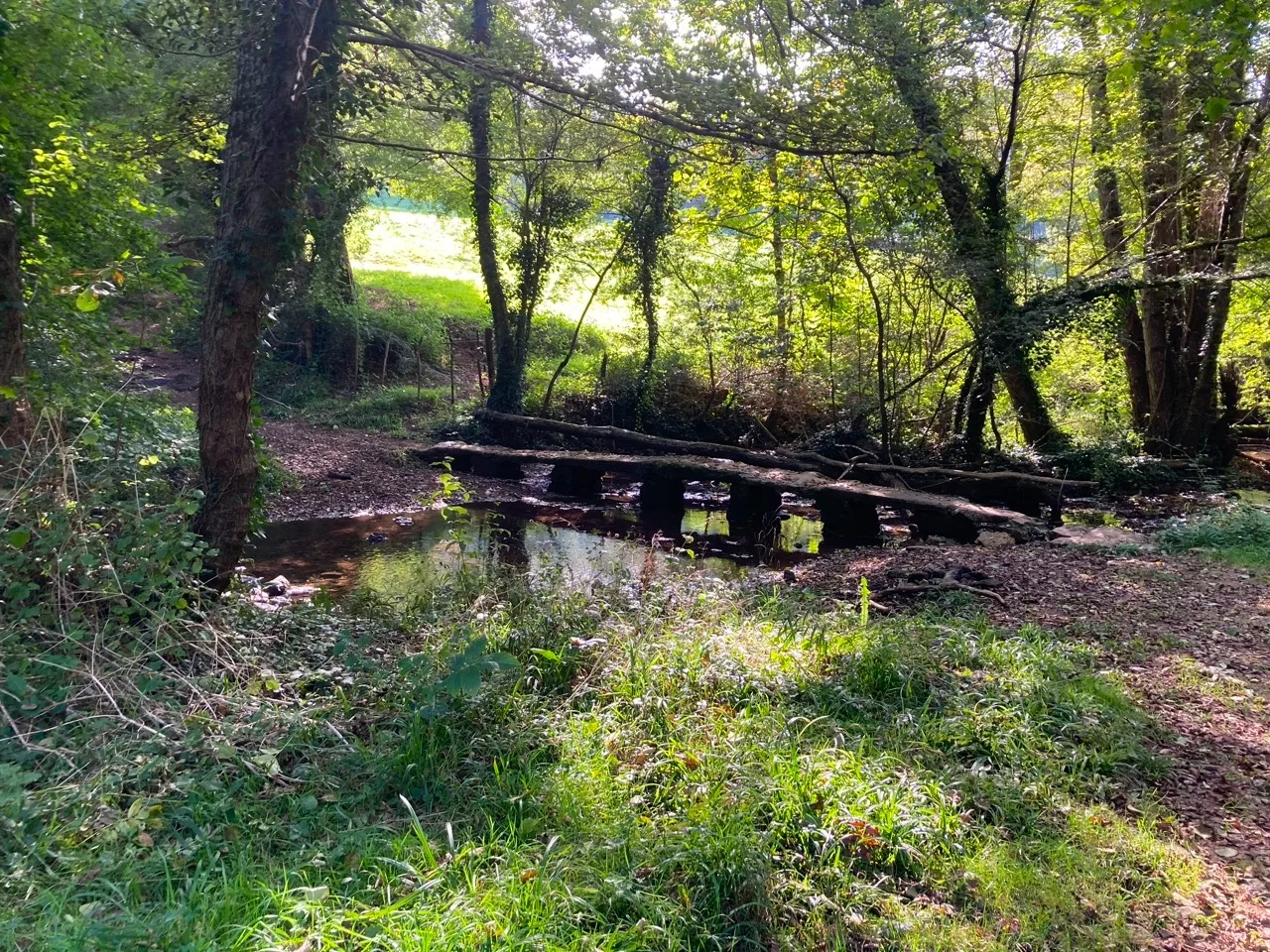 River crossing.jpg