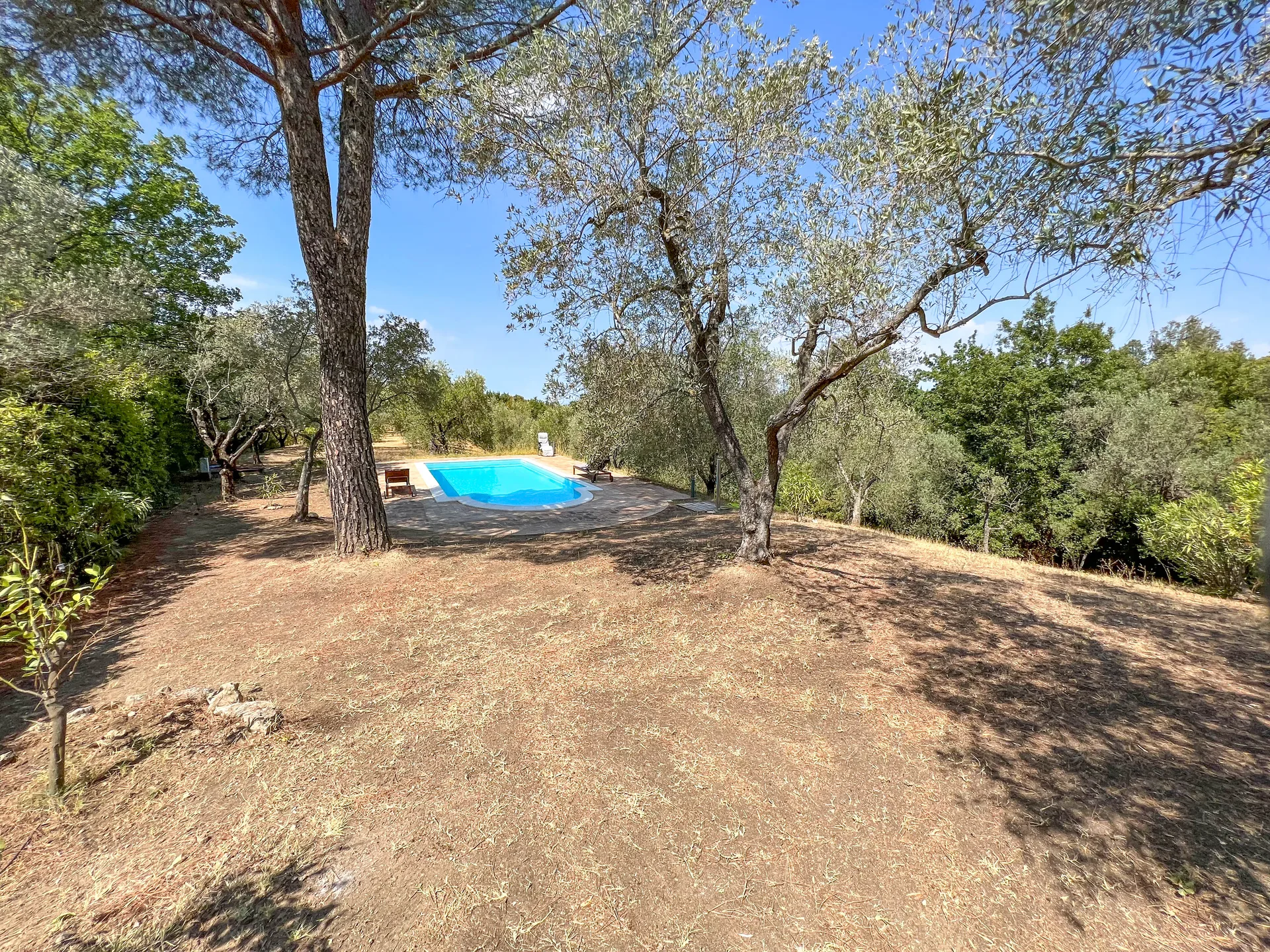 property299caac97a66258c1df6e61146c87f214.jpg