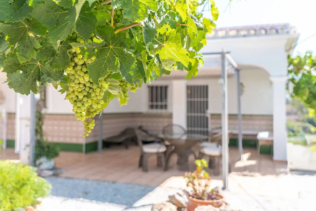 Nerja - Romslig villa med basseng, gjestehus og panoramautsikt – bilde 30