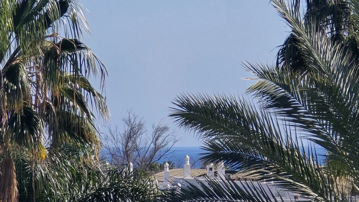 Lorcrimar V, Nueva Andalucía – Hjørne-toppleilighet med stor terrasse – bilde 7