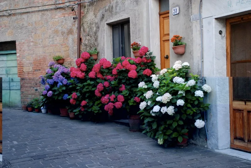Takterrasse med utsikt mot Toscana ,slow life i historiske Proceno. Presenteres på vårt seminar 4. nov. – bilde 30